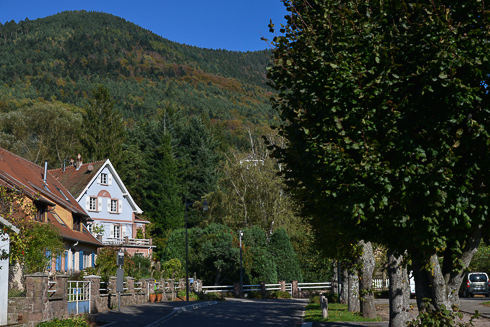 The village of La Vancelle enjoys a privileged location on the southern hillside of the mountain. At the heart of a magnificent forest, it is an exceptional site just a few minutes drive from the Alsace wine.